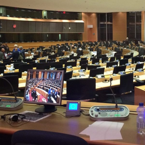 Politician Translators: Roles