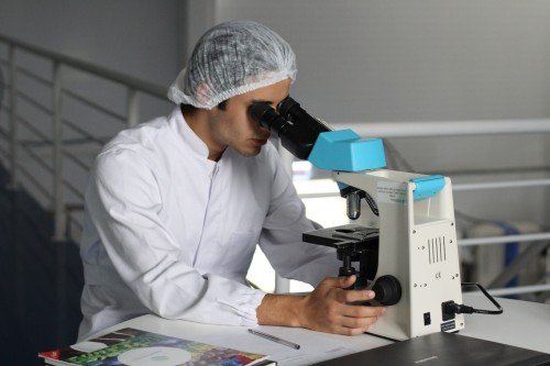 Breaking Down ECFMG Translation Requirements: What You Gotta Know